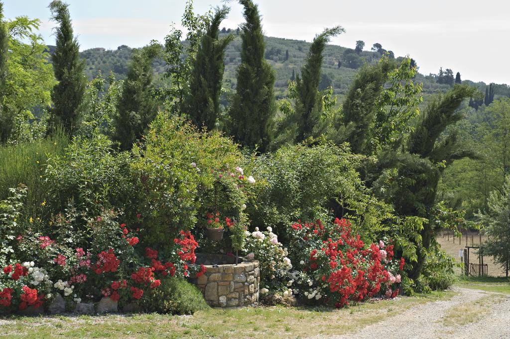 La Buca Di Montauto Hotel San Gimignano Luaran gambar