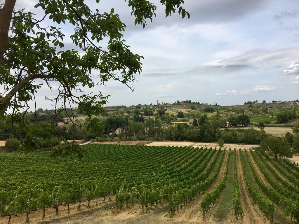 La Buca Di Montauto Hotel San Gimignano Luaran gambar